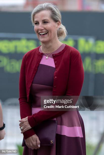 Sophie, Countess of Wessex attends a service of dedication for a new memorial to nurses who served in the two World Wars at The National Memorial...