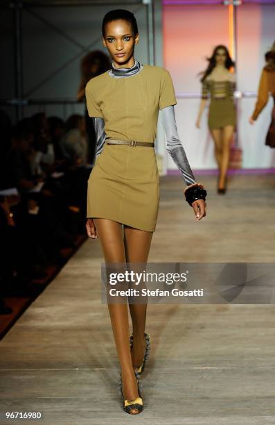 Model walks the runway at the Zac Posen Fall 2010 Fashion Show during Mercedes-Benz Fashion Week at the Altman Building on February 15, 2010 in New...