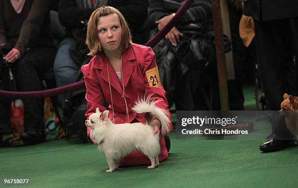 Kristen Bolling of Union Bridge, Maryland shows Snow, her Chihuahua Long, in a ring at the Westminster Kennel Club Dog Show February 15, 2010 in New...