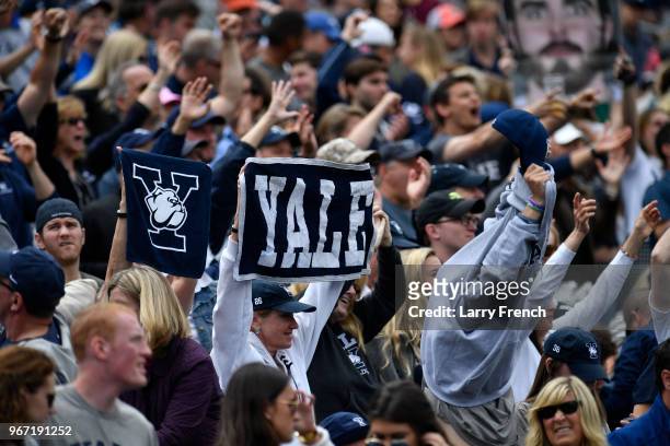 Yale University fans cheer for their team against Duke University during the Division I Men's Lacrosse Championship Semifinals held at Gillette...