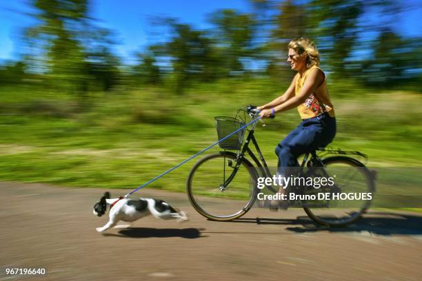 Une femme se promenant a bicyclette avec un chien dans le Bois de Vincennes le 14 Septembre 2003, Paris, France.