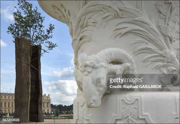 Le Chateau de Versailles accueille l'artiste Giuseppe Penone le 15 juin 2013 pour son rendez vous annuel avec la creation contemporaine. L'artiste...