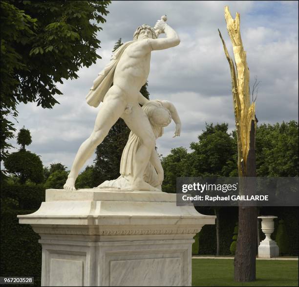 Le Chateau de Versailles accueille l'artiste Giuseppe Penone le 15 juin 2013 pour son rendez vous annuel avec la creation contemporaine. L'artiste...