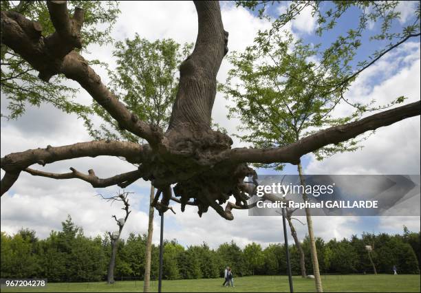 Le Chateau de Versailles accueille l'artiste Giuseppe Penone le 15 juin 2013 pour son rendez vous annuel avec la creation contemporaine. L'artiste...