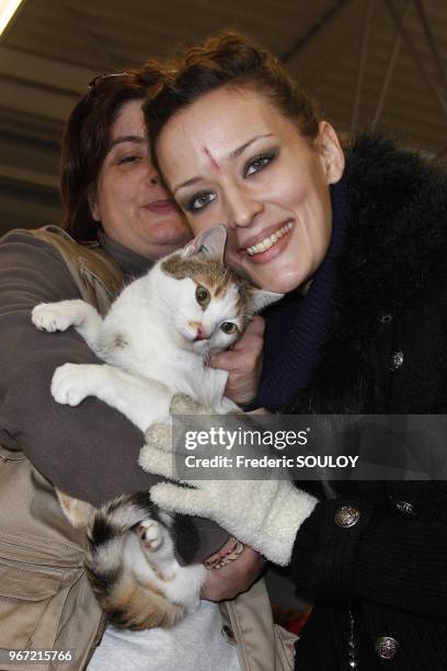 Kelly Bochenko Photos and Premium High Res Pictures - Getty Images