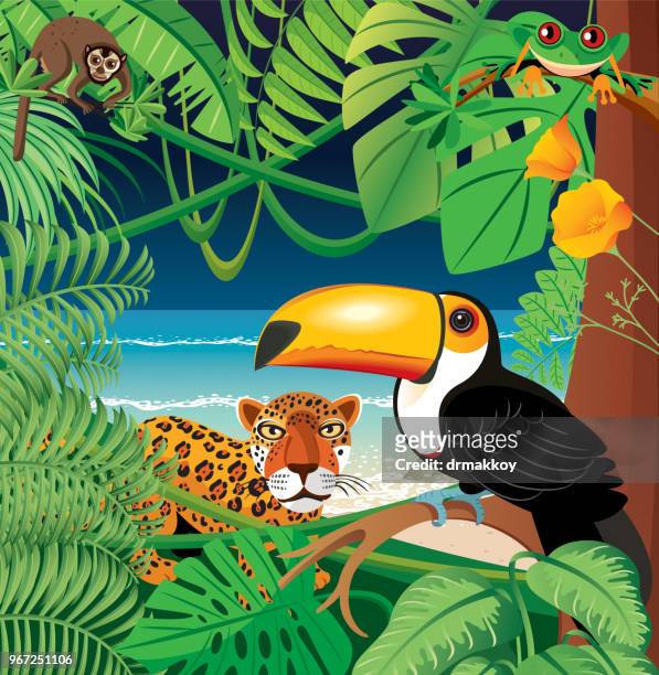 tukan und amazonas-regenwald - amazon river stock-grafiken, -clipart, -cartoons und -symbole