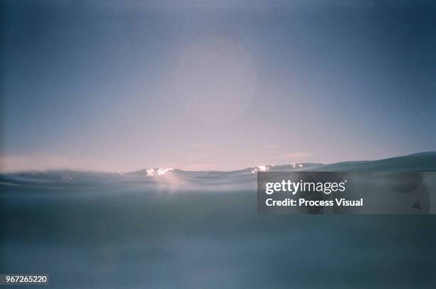 immersed in the ocean - algarve underwater stock pictures, royalty-free photos & images