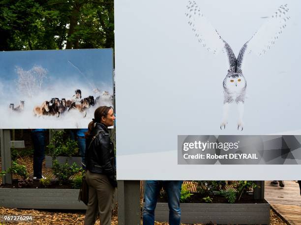 Installée au coeur du bois de Boulogne, la Fondation Goodplanet lancée par Yann Arthus-Bertrand propose chaque week-end des activités pédagogiques et...