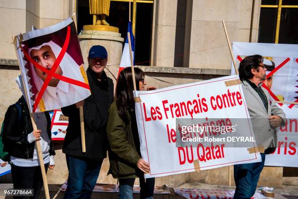 Rassemblement de délégations égyptiennes et françaises au Trocadéro pour protester contre la politique du Qatar face au terrorisme le 15 septembre...