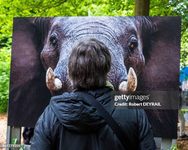 Installée au coeur du bois de Boulogne, la Fondation Goodplanet lancée par Yann Arthus-Bertrand propose chaque week-end des activités pédagogiques et...