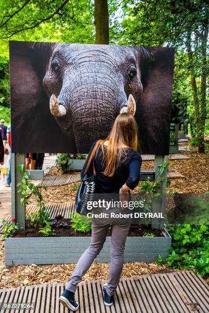 Installée au coeur du bois de Boulogne, la Fondation Goodplanet lancée par Yann Arthus-Bertrand propose chaque week-end des activités pédagogiques et...