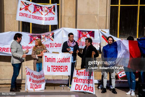 Rassemblement de délégations égyptiennes et françaises au Trocadéro pour protester contre la politique du Qatar face au terrorisme le 15 septembre...