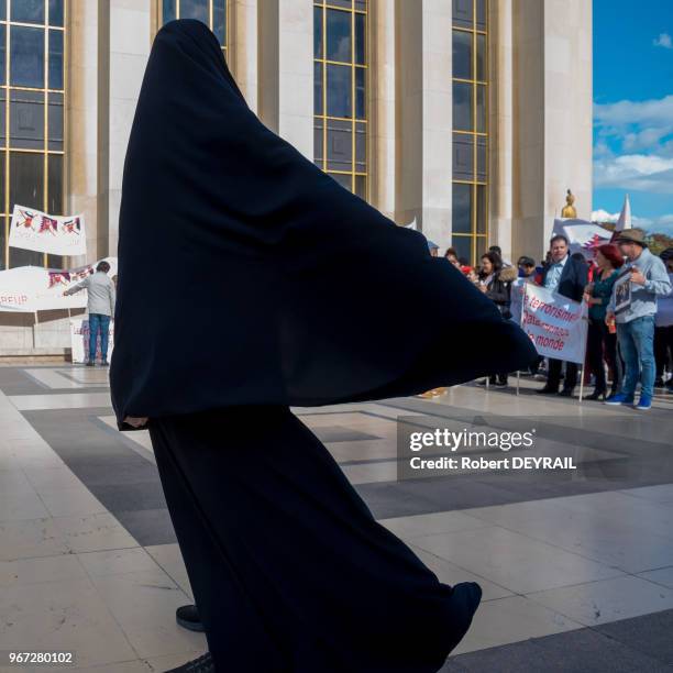 Rassemblement de délégations égyptiennes et françaises au Trocadéro pour protester contre la politique du Qatar face au terrorisme le 15 septembre...