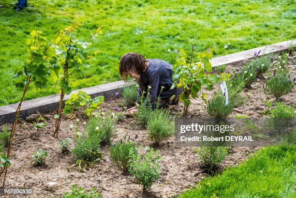 Installée au coeur du bois de Boulogne, la Fondation Goodplanet lancée par Yann Arthus-Bertrand propose chaque week-end des activités pédagogiques et...