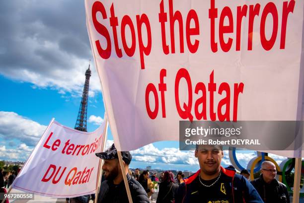 Rassemblement de délégations égyptiennes et françaises au Trocadéro pour protester contre la politique du Qatar face au terrorisme le 15 septembre...