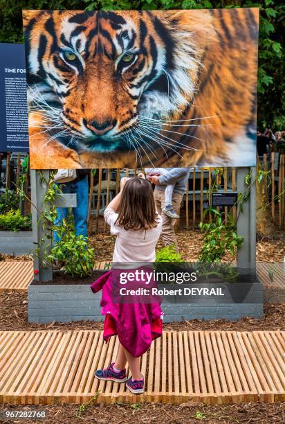 Installée au coeur du bois de Boulogne, la Fondation Goodplanet lancée par Yann Arthus-Bertrand propose chaque week-end des activités pédagogiques et...