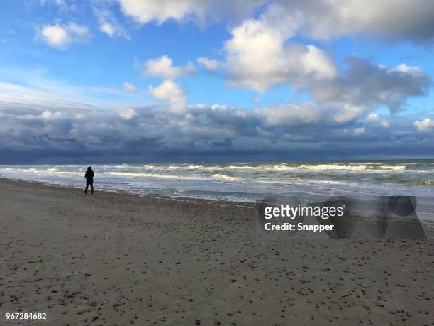 man walking on grenen beach, skagen, denmark - kattegat stock pictures, royalty-free photos & images