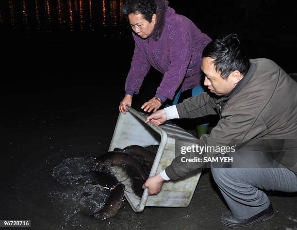 "Taiwan-conservation-animal-religion", FEATURE by Amber Wang Taiwanese Buddhists release catfish into a river during a "mercy release" ceremony in...