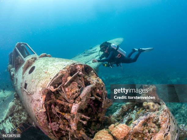 woman diving by a plane wreck, koror, palau - palau stock-fotos und bilder