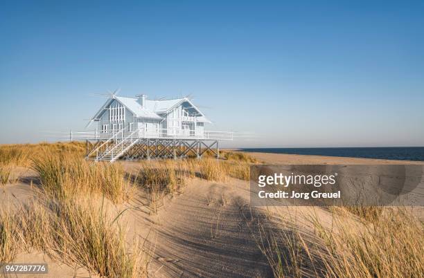 dream house on the beach - sylt stock-fotos und bilder
