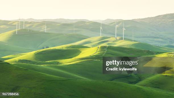 wind turbines in rolling landscape, brushy peak, california, america, usa - wind turbine california stock pictures, royalty-free photos & images