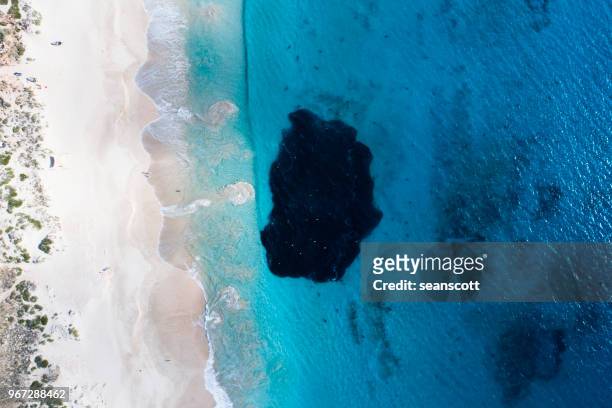 aerial view of sharks feeding on a bait ball, carnarvon, western australia, australia - bola de cebo fotografías e imágenes de stock