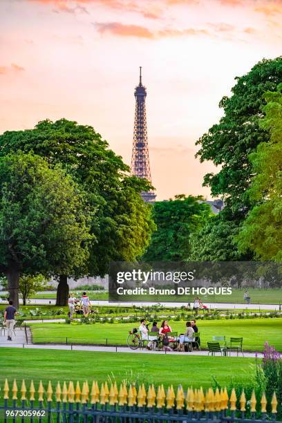 Des gens assis dans le Jardin des Tuileries. La Tour Eiffel, 17 juin 2017, Paris, France.