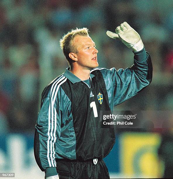 Goalkeeper Magnus Hedman of Sweden makes a point during the FIFA 2002 World Cup Qualifier against Turkey played at the Ali Sami Yen Stadium in...