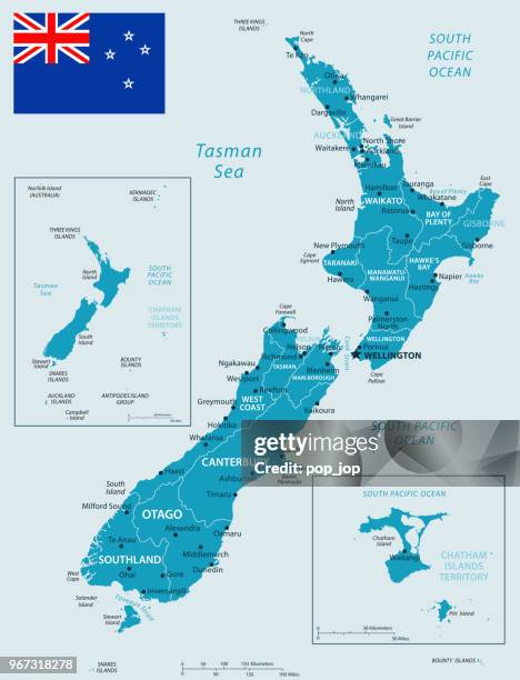 32 New Zealand Murena Dark 10 High-Res Vector Graphic