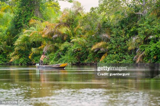 un pêcheur sur la mangrove sur le fleuve congo - bateau de plaisance photos et images de collection
