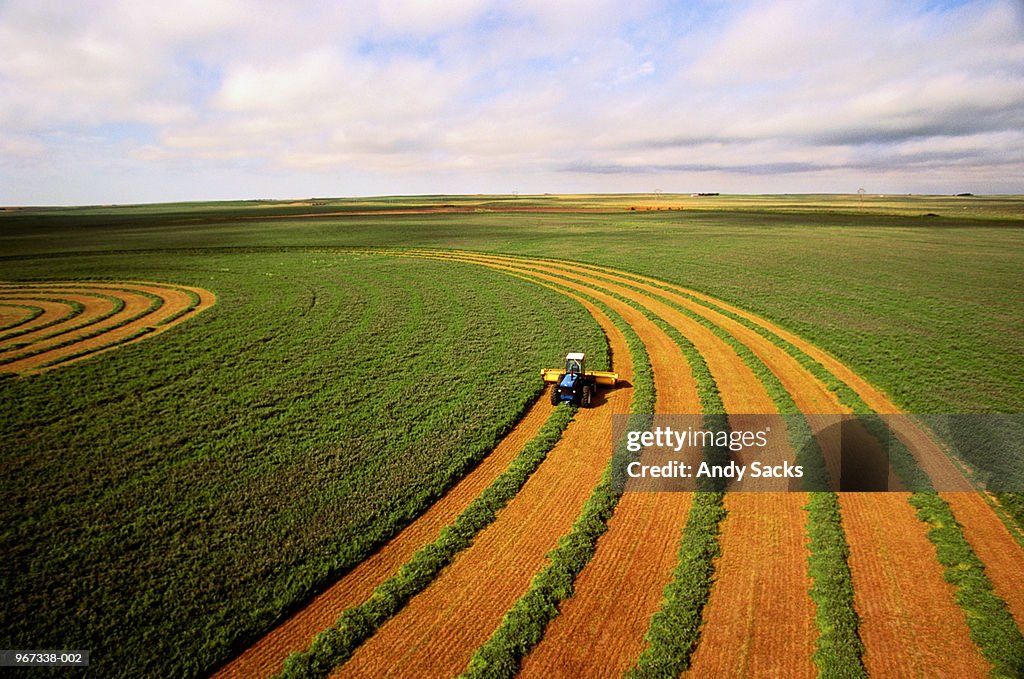 Harvesting alfalfa crop, aerial view