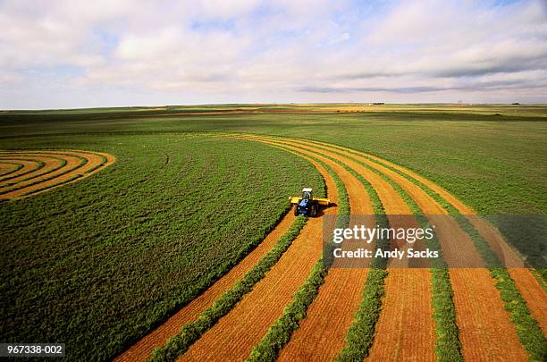 harvesting alfalfa crop, aerial view - alfalfa stock pictures, royalty-free photos & images