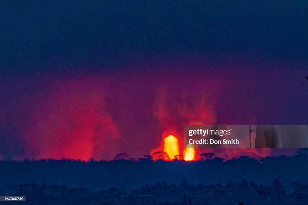 Lava Fountains and Albizia Trees