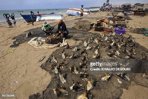 Angolans dry salted fish in the Kasseque fish market on the Atlantic ocean beach in Benguela on January 29, 2010 during the African Nations Cup...