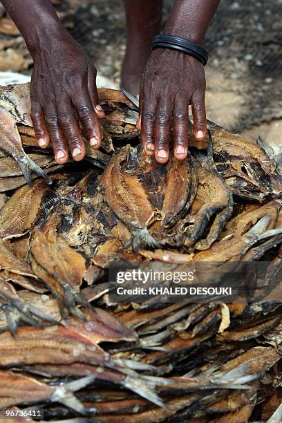 An Angolan woman handles salted fish in the Kasseque fish market on the Atlantic ocean beach in Benguela on January 29, 2010 during the African...
