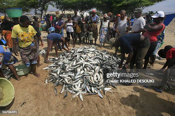 Angolansparticipate in the Kasseque fish market on the Atlantic ocean beach in Benguela on January 29, 2010 during the African Nations Cup football...