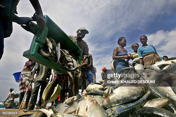 Angolan fishermen drop their haul in the Kasseque fish market on the Atlantic ocean beach in Benguela on January 29, 2010 during the African Nations...