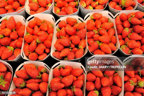 Barquettes de fraise Gariguette au marché Edgard Quinet, 17 juin 2017, Paris, France.