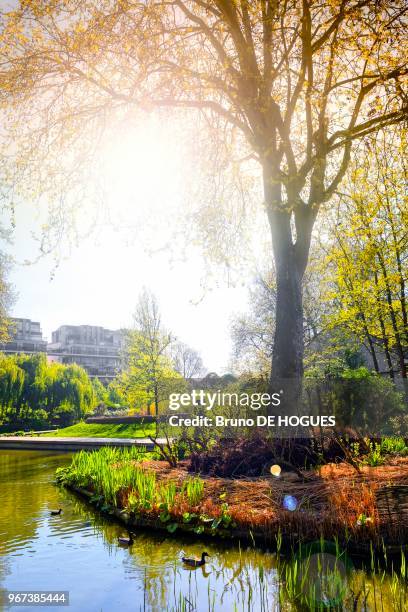 Canards dans le jardin romantique du Parc de Bercy, 20 avril 2016, Paris, France.