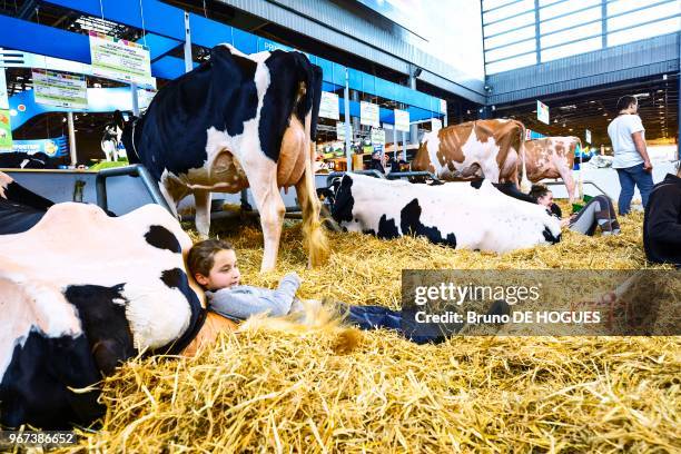 Une petite fille allongée à côté d'une vache lors du Salon International de l'Agriculture le 25 Février 2017 à Paris, France.