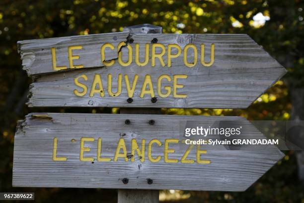 France, Auvergne, Cantal , natural regional park of the Auvergne volcanos, hiking from Col du Pertus up to the top of l'Elanceze rock, wooden sign //...