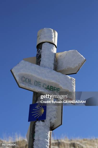 France, Auvergne, Cantal , natural regional park of the Auvergne volcanos, mountain resort of Lioran, hiking towards Meig-cost and Griou summit//...