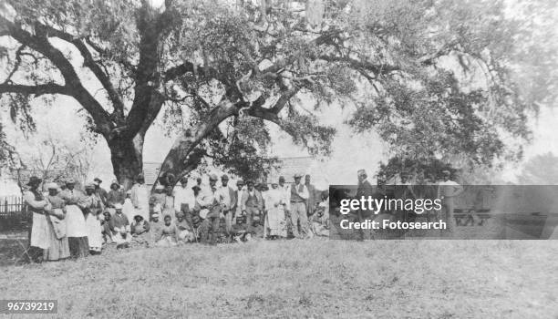 Photograph of large group of black plantation workers lined up beneath a tree with bearded white man reading from a document standing in front, circa...