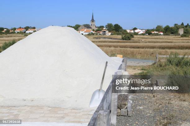 Récolte de la fleur de sel à fleur d?eau dans les marais salants à l?Ile d?Olonne en Vendée, 21 août 2016, France.