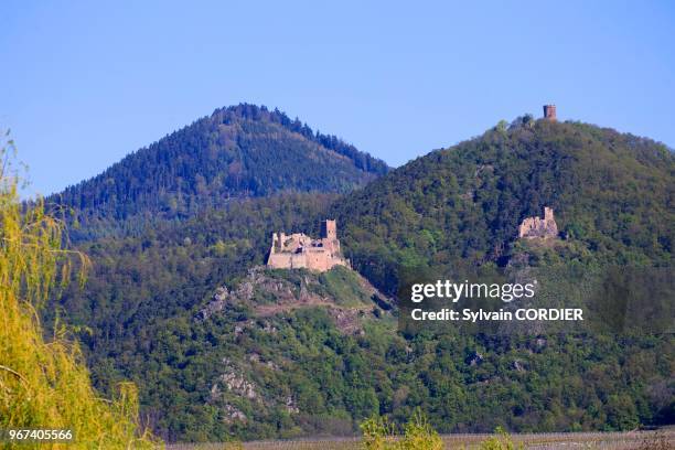 France, Alsace, Haut Rhin , Ribeauvillé, Château du Haut-Ribeaupierre est l'un des trois châteaux . France, Alsace, Haut Rhin, Ribeauvillé,...