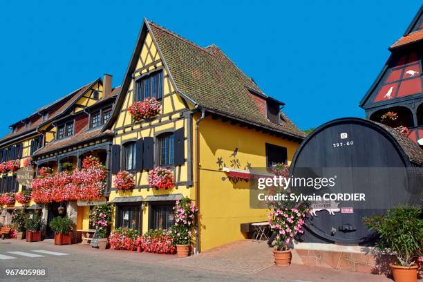 France, Alsace, Bas-Rhin, Route des vins, Itterswiller, façade de maison, maison de viticulteur, hotel restaurant Arnold, fenêtres fleuries.