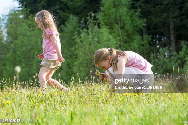 France, Bas-Rhin , Urbeis, près du Climont, fillettes dans un pré.