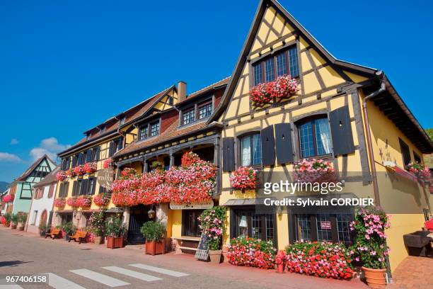 France, Alsace, Bas-Rhin, Route des vins, Itterswiller, façade de maison, maison de viticulteur, hotel restaurant Arnold, fenêtres fleuries.