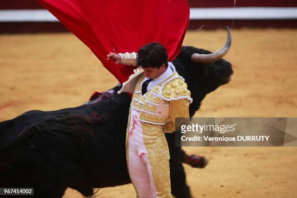 Corrida aux fetes de Dax, France : le Torero Juan del Alamo, en habit de lumiere rose et or, à la faena de muleta.
