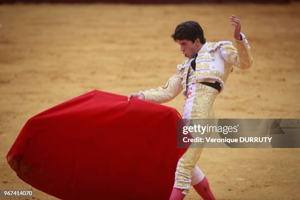 Corrida aux fetes de Dax, France : le Torero Juan del Alamo, en habit de lumiere rose et or, à la faena de muleta.